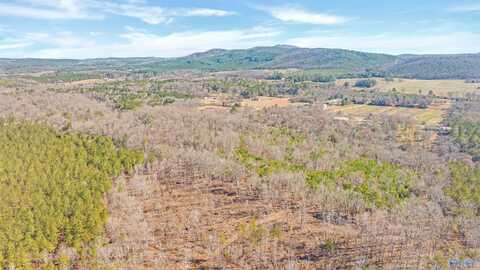 13 Acres County Road 174, Piedmont, AL 36272