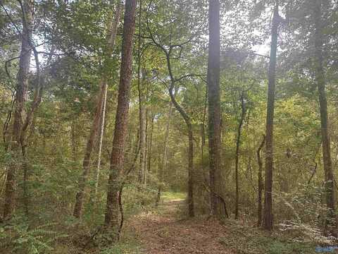 98 Criscoe Circle, Union Grove, AL 35175