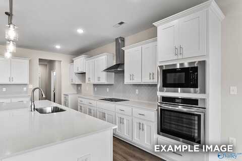 105 Summer Creek Drive, Meridianville, AL 35759