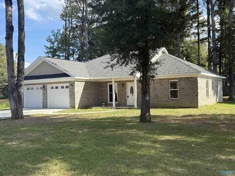 1119 Lasone Drive, Scottsboro, AL 35768