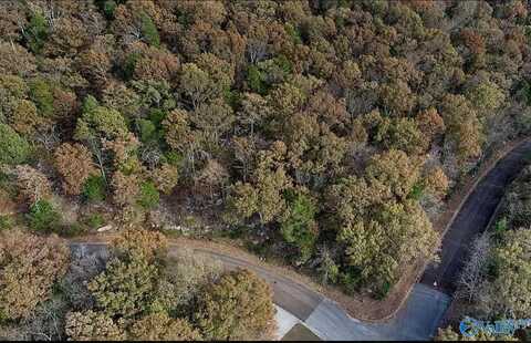 14096 Stonefield Trail SE, Huntsville, AL 35803