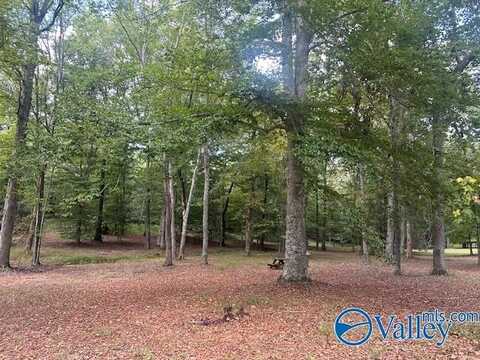254 Cee Jay Lane, New Market, AL 35761