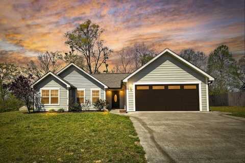 110 Lindsey Lane, Blue Ridge, GA 30513