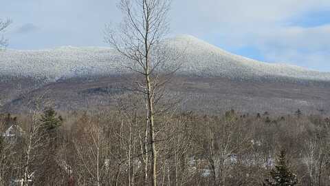 1335 Downingsville Road, Lincoln, VT 05443