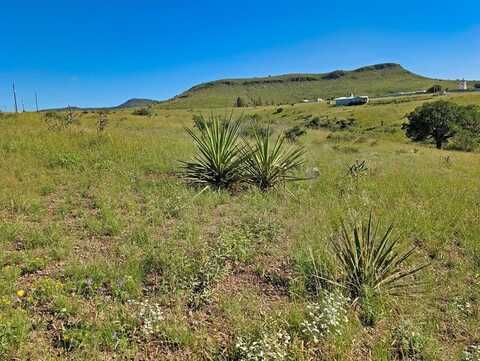 104 Quail Drive, Fort Davis, TX 79734