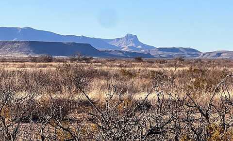 ERR State Hwy 118 S, Alpine, TX 79830
