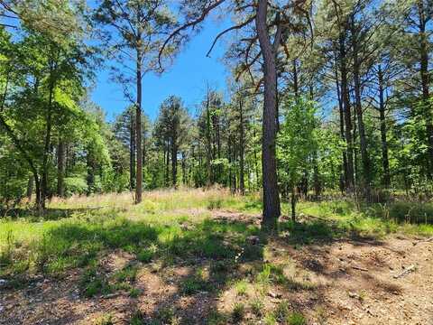 216 Brittains Branch, Broken Bow, OK 74728