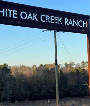 Lot 20 Private 3398 Road, Big Sandy, TX 75755