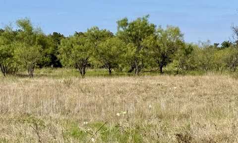 000 County Road 3540, Bridgeport, TX 76426