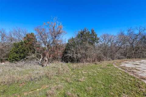 38108 Misty Ridge Drive, Whitney, TX 76692