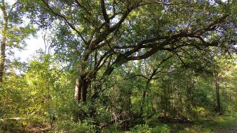 0 Lowcountry Highway, Ruffin, SC 29475