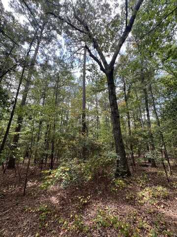 0 Jim Jones Rd., Cottondale, AL 35453