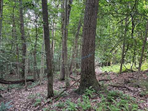 Mountain Drive, Nicktown, PA 15762