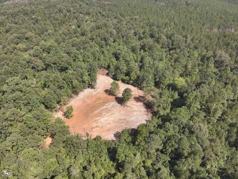 0 M L King Hwy, Eutaw, AL 35462