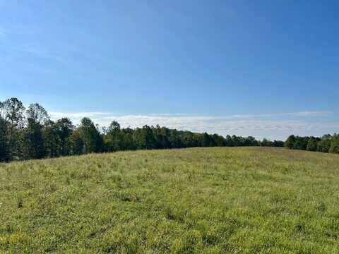 01 Raikes hill spur, Elkhorn, KY 42733