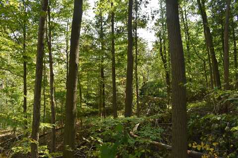 Route 380, Jamestown, NY 14701
