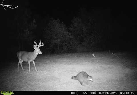 0 Raysville Rd, Ray, OH 45672