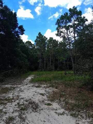 6268 Hamilton Bridge Rd, Milton, FL 32570