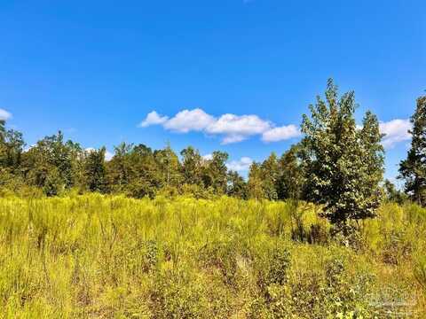 Lot 6c Cotton Lake Rd, Molino, FL 32577