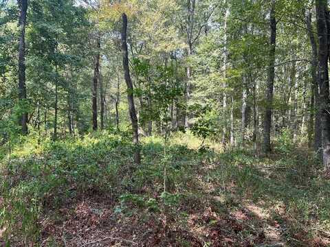 TBD FM 1817, ELKHART, TX 75839