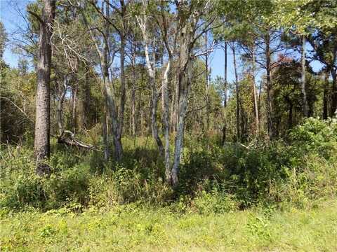Macon County Road 24 lot: 5, Auburn, AL 36830