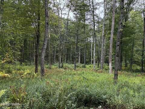 20 Oak Lane, Waymart, PA 18472