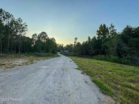 1313 Saddler Road, Turkey Creek, LA 70585