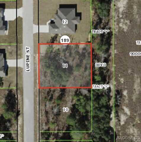 22 Lupine Street, Homosassa, FL 34446
