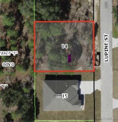 25 Lupine Street, Homosassa, FL 34446