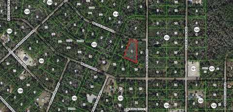 11228 W Cockscomb Drive, Crystal River, FL 34428