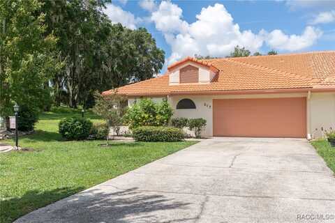 217 Buena Vista Court, Inverness, FL 34450