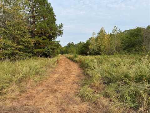 0 Henry Oates Road, Graham, KY 42344