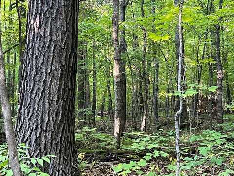 45xxx 289th Ln, Aitkin, MN 56431