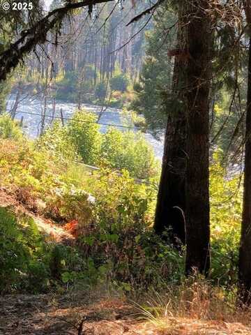 91591 BLUE RIVER RESERVOIR RD, Blue River, OR 97413