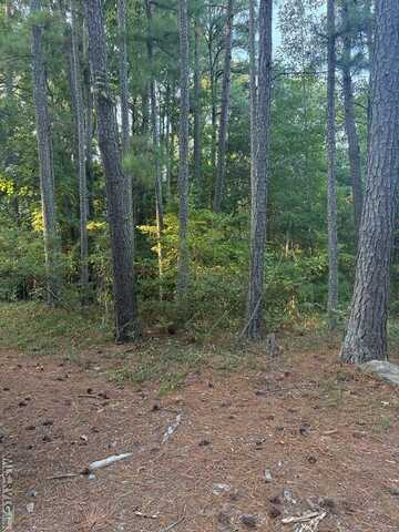0 Cedar Hill Lane, Henrico, NC 27842