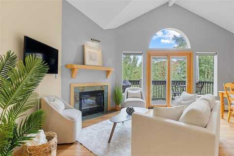 803 LAKEPOINT COURT, Frisco, CO 80443