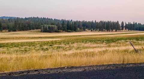 10808 S Jackson Rd, Mica, WA 99023