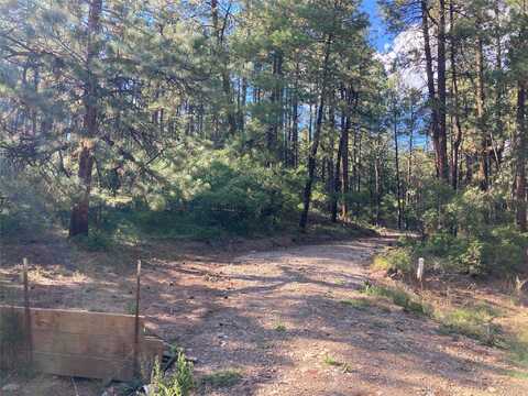 Serenity Drive, Chama, NM 87520