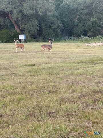 7121 County Road 125, Hallettsville, TX 77964