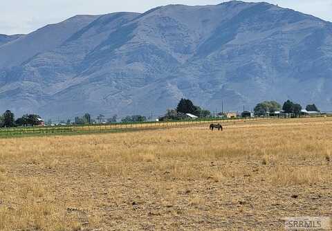 Tbd 14.3 3520 W, Moore, ID 83255