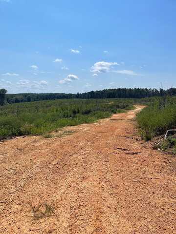 Cowens Bridge Road, Gray Court, SC 29645