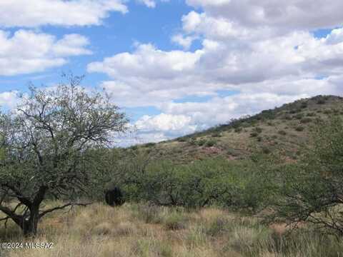 39 +/- ACRE on Rambling Road, Elfrida, AZ 85610