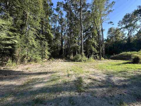 Donaldson Williams Road, Crawfordville, FL 32327