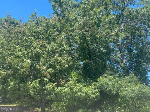 2010 BREAKERS DRIVE, BARNEGAT, NJ 08005