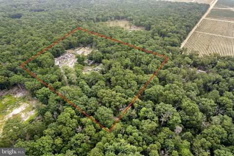 3030 S 1ST ROAD, HAMMONTON, NJ 08037