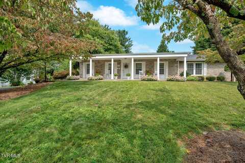 919 Althea Street, Johnson City, TN 37601