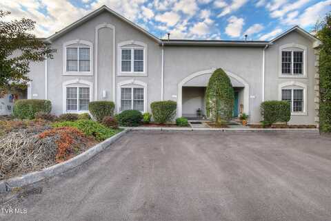 127 Bentley Parc unit: 45, Johnson City, TN 37615