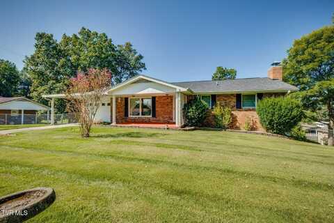 907 Ithaca Street, Mount Carmel, TN 37645