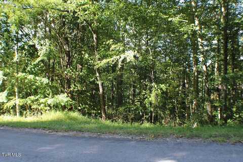 Tbd Deer Creek Xing, Mountain City, TN 37683