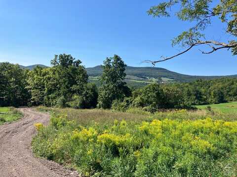 County Route 20, Durham, NY 12422